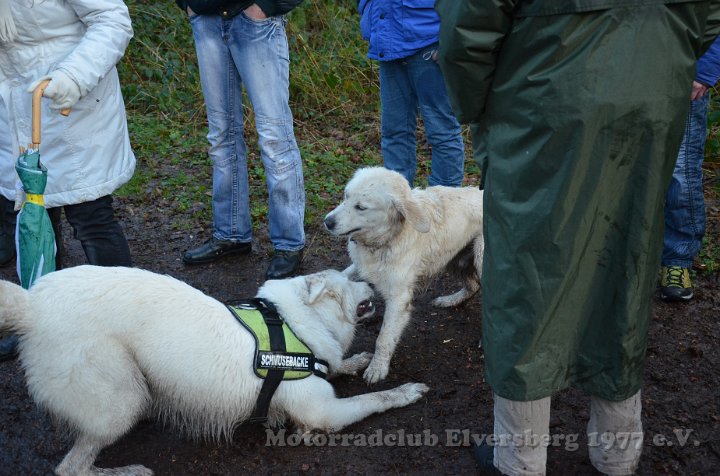 Wandertag 2012 - 101.JPG